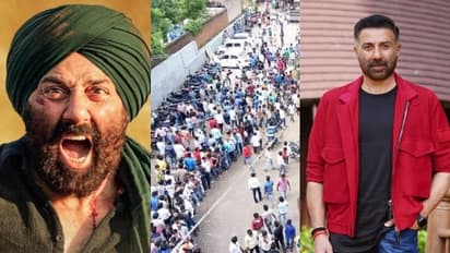 കളക്ഷന് 630 കോടി! 'ഗദര് 2' ല് സണ്ണി ഡിയോളിന് ലഭിച്ച പ്രതിഫലം എത്ര?