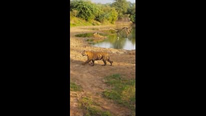 ಯಾರಿಗೂ ತಿಳಿಯದ ಕರ್ನಾಟಕದ ಈ ಅದ್ಭುತ ತಾಣಗಳಿಗೆ ಯಾವತ್ತಾದರೂ ವಿಸಿಟ್ ಮಾಡಿದ್ದೀರಾ?