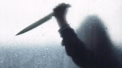 Woman arrested for fatally stabbing live-in partner in Bengaluru amid suspicions of infidelity