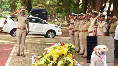 ಪಿಎಂ, ಸಿಎಂಗೆ ಭದ್ರತೆ ನೀಡಿದ್ದ ಸ್ಫೋಟಕ ಪತ್ತೆದಾರಿ ದಾವಣಗೆರೆ ಪೊಲೀಸ್ ಶ್ವಾನ ಸೌಮ್ಯ ಇನ್ನಿಲ್ಲ!