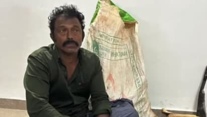 40 കിലോ ചന്ദനം പിടികൂടി വനംവകുപ്പ്; 'ഉദ്യോഗസ്ഥര്‍ എത്തുമ്പോഴും മരം ചീളുകളാക്കി മണിയന്‍'