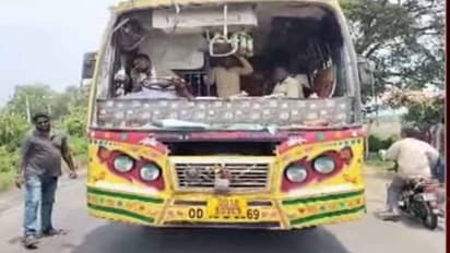 పార్వతీపురం మన్యంలో తప్పిన ప్రమాదం, ప్రైవేట్ బస్సుపై ఏనుగు దాడి: భయాందోళనలో ప్రయాణీకులు