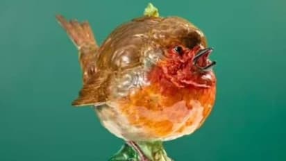 എഡ്വേർഡ് ഏഴാമൻ രാജാവിന് വേണ്ടി നിർമ്മിച്ച അപൂർവ ടീപ്പോട്ട് ലേലത്തിന്; വില 12 ലക്ഷം രൂപ!