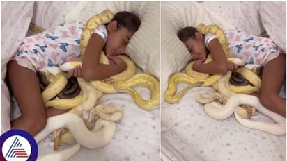 ಜೀವಂತ ಹಾವುಗಳನ್ನು ಗೊಂಬೆಗಳಂತೆ ತಬ್ಬಿ ಮಲಗಿದ ಬಾಲಕಿ: ಇವಳೇನು ಹಾವು ರಾಣಿಯೇ?