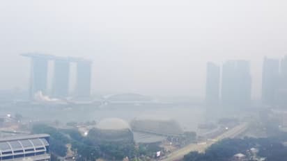 சிங்கப்பூர்வாசிகளே கவனம்! புகைமூட்டம் ஏற்பட வாய்ப்பு! வெளியே செல்லும் முன் காற்றின் தரத்தை செக் செய்யவும்