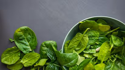 5 incredible Hair friendly foods that can aid in growth of shiny locks