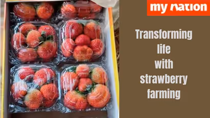How did Satyendra Verma change his life by becoming a strawberry farmer? 