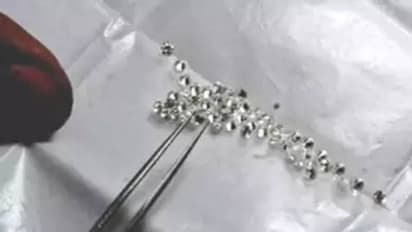 ആറുമാസത്തിനിടെ മോഷണം പോയത് 5.6 കോടി രൂപ വിലവരുന്ന വജ്രം, അന്വേഷിച്ചപ്പോൾ കള്ളന്മാർ കപ്പലിൽ തന്നെ, അറസ്റ്റ് 