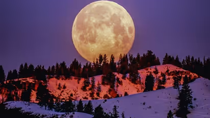 Lunar land boom: Indian NRIs invest in lunar real estate as interest in Moon exploration grows