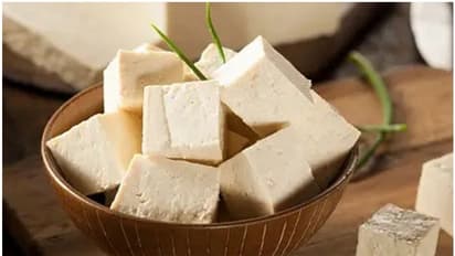 Calcium bounty: 5 rich Foods for ensuring your Strong Bones