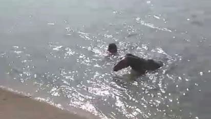 ಯಾದಗಿರಿ: ಕಾಲುವೆಗೆ ಬಿದ್ದ ಕುದುರೆ, ಪ್ರಾಣದ ಹಂಗು ತೊರೆದು ರಕ್ಷಿಸಿದ ಯುವಕ