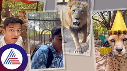  ಚಿರತೆಯನ್ನು ಡಾ.ಬ್ರೋ ಹೊಗಳ್ತಿದ್ರೆ, ಸಿಟ್ಟಿಗೆದ್ದ ಸಿಂಹ ಅವ್ರ ಮೈಮೇಲೆ  ಮೂತ್ರ ಮಾಡೋದಾ?