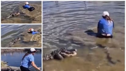 'അവള് ഭീകരിയല്ല. കൊടും ഭീകരി'; മുതലയെ പിടിക്കാന് ജലാശയത്തിലേക്ക് എടുത്ത് ചാടുന്ന യുവതിയുടെ വീഡിയോ വൈറല്!