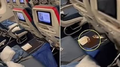 Viral Video: ಕಿತ್ಕೊಂಡು ಬಂದ ಭೇದಿ, ವಿಮಾನ ಪೂರ್ತಿ ಮಲವಿಸರ್ಜನೆ ಮಾಡಿದ ಪ್ರಯಾಣಿಕ!