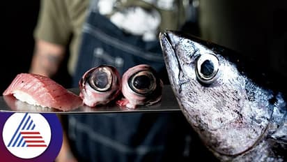 ವಿಟಮಿನ್ 12 ಹೆಚ್ಚಿರೋ ಮೀನಿನ ಕಣ್ಣಲ್ಲೂ ಇದೆ ಆರೋಗ್ಯದ ಗುಟ್ಟು!