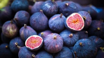 അത്തിപ്പഴം പതിവായി കഴിക്കൂ; ഈ രോഗങ്ങളെ തടയാം... 