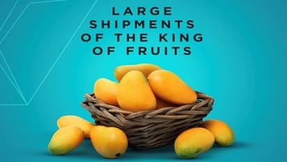 ಬೆಂಗಳೂರು: ಮಾವು ರಫ್ತಿನಲ್ಲಿ ದಾಖಲೆ ಬರೆದ ಕೆಂಪೇಗೌಡ ವಿಮಾನ ನಿಲ್ದಾಣ..!