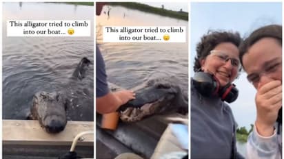 ബോട്ടിലേക്ക് കയറി വന്ന അതിഥിയെ കണ്ട് ഞെട്ടി യാത്രക്കാര്; ഭയം ചിരിക്ക് വഴിമാറിയ കാഴ്ച !