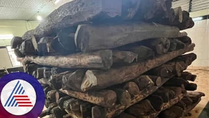 ಮಂಗಳೂರು: ಕಸ್ಟಮ್ಸ್ ವಶಕ್ಕೆ ಪಡೆದ ರಕ್ತಚಂದನ 28 ಕೋಟಿಗೆ ಹರಾಜು! 