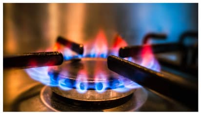 ഗ്യാസിൽ നിന്ന് തീ പടർന്ന് സഹോദരിമാർക്ക് ദാരുണാന്ത്യം