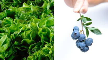 Leafy Greens to Berries: 10 superfoods for Weight Loss