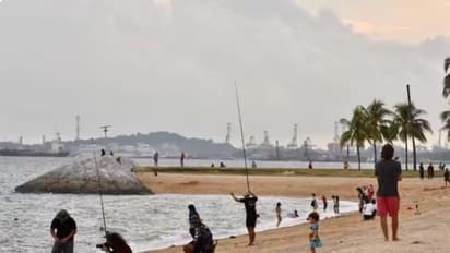 சிங்கப்பூரில் கடலோர பாதுகாப்பு, வெள்ள தடுப்புக்கென முதல் ஆய்வு நிலையம் அமைப்பு