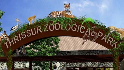 പുത്തൂരിലേക്ക് പക്ഷിമൃഗാധികള്; ആറ് മന്ത്രിമാര്, രണ്ട് ഘോഷയാത്രകള്, വന്ആഘോഷമാക്കാന് തീരുമാനം