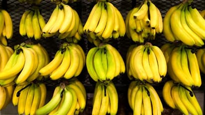 ദിവസവും നേന്ത്രപ്പഴം കഴിക്കാറുണ്ടോ? എങ്കില്‍, നിങ്ങളറിയേണ്ടത്...