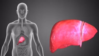 ഫാറ്റി ലിവര്‍ രോഗം; ഡയറ്റില്‍ ഉള്‍പ്പെടുത്താം ഈ അഞ്ച് ഭക്ഷണങ്ങള്‍... 