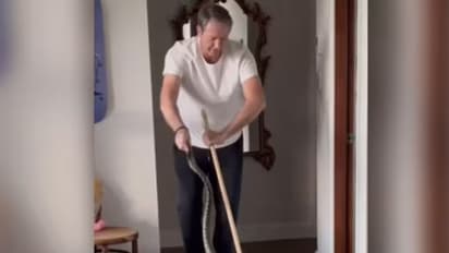 ഗ്ലെന്‍ മക്‌ഗ്രാത്തിന്‍റെ വീടിനുള്ളിൽ അക്രമണോത്സുകനായി പെരുമ്പാമ്പ്; വിളിക്കാതെ എത്തിയ വിരുന്നുകാരനോട് ചെയ്തത്