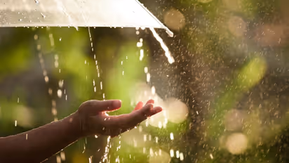 തീവ്ര ന്യൂനമർദം; സംസ്ഥാനത്ത് ശക്തമായ മഴ തുടരുന്നു; 5 ജില്ലകളിൽ യെല്ലോ അലർട്ട്