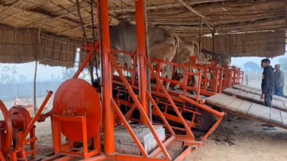 एक बैल से एक घंटे में 10 किलोवाट बिजली, पूर्व डिप्टी एसपी शैलेन्द्र सिंह का कमाल का इनोवेशन, विदेशी भी फिदा   