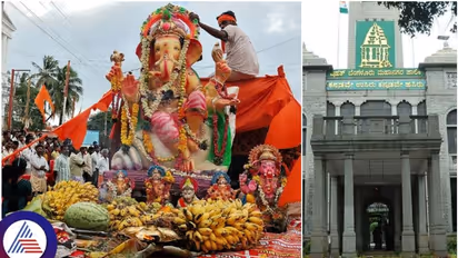 From meat to PoP Ganpatis... Bans kick in as Bengaluru seeks eco-friendly Ganesh Chaturthi