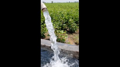 ತುಮಕೂರು : ಕೃಷಿ ಸಖಿಯರಿಗೆ ಐದು ದಿನಗಳ ನೈಸರ್ಗಿಕ ಕೃಷಿ ತರಬೇತಿ