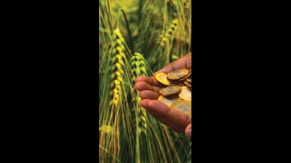 ತುಮಕೂರು : ಕೃಷಿ ಭಾಗ್ಯ ಯೋಜನೆಗಾಗಿ ಅರ್ಜಿ ಆಹ್ವಾನ