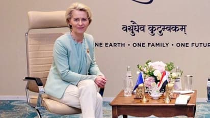 G20 Summit: Rejoin Black Sea Grain Initiative, EU tells Russia