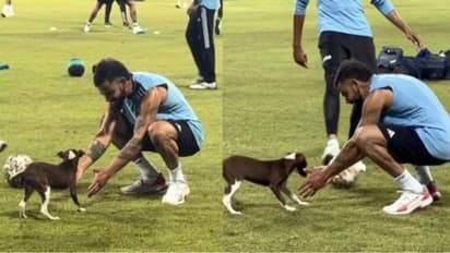 India vs Pakistan Super 4: நாய்க்குடியுடன் கால்பந்து விளையாடிய விராட் கோலி; வைரலாகும் வீடியோ!