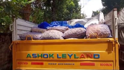 ലോറിയിലെ വെളുത്തുള്ളി ചാക്കുകൾക്കിടയിൽ തിരുകി; പരിശോധനയിൽ കണ്ടെത്തിയത് പത്ത് ലക്ഷത്തിന്റെ മൊതല്!