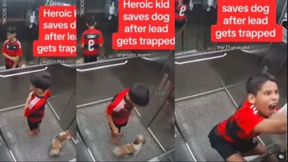 ಲಿಫ್ಟ್‌ ಬಾಗಿಲಿಗೆ ಸಿಲುಕಿದ ಬೆಲ್ಟ್‌: ಪುಟ್ಟ ಬಾಲಕನ ಚಾಣಾಕ್ಷತೆಯಿಂದ ಬದುಕುಳಿದ ನಾಯಿಮರಿ: ವೀಡಿಯೋ