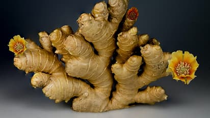 7 healing benefits of Ginger