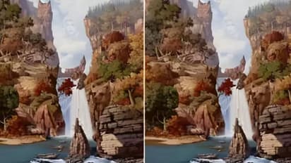 இந்த படத்தில் முதலில் நீங்கள் பார்த்தது எது? உங்கள் ஆளுமை இப்படி தான் இருக்கும்..