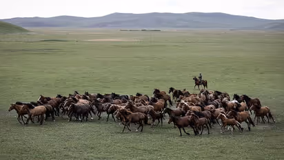 ‘ലോകത്തിലെ ഏറ്റവും ജനവാസം കുറഞ്ഞ രാജ്യ’ത്ത് മനുഷ്യരേക്കാൾ കൂടുതൽ കുതിരകള്‍ !