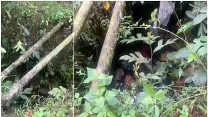 ഒറ്റപ്പെട്ട സ്ഥലത്തെ വീട്, വെള്ളത്തിന് അസഹ്യ ദുർഗന്ധം; കാരണം കണ്ടെത്തിയപ്പോൾ വീട്ടുകാര് ഞെട്ടി, എന്തൊരു ചതി!