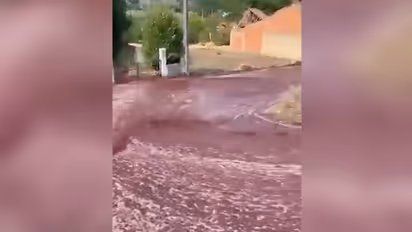 Shocking! 2.2 million litres of red wine flows through Portugal town; here's what happened - WATCH