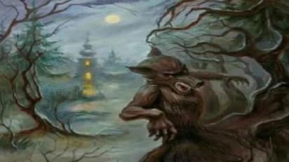 Optical Illusion: ಫೋಟೋ ನೋಡಿ, ಮ್ಯಾರೀಡ್ ಲೈಫ್ ಹೇಗಿರುತ್ತೆ ತಿಳ್ಕೊಳ್ಳಿ