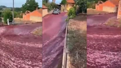 ಒಡೆದ ವೈನ್ ಕಾರ್ಖಾನೆಯ ಟ್ಯಾಂಕ್: ವೈನಿನ ಹೊಳೆಯಾದ ರಸ್ತೆಗಳು: ವೀಡಿಯೋ