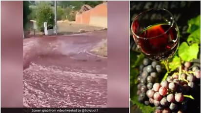 സ്വർഗം താണിറങ്ങി വന്നതോ..; നഗരത്തിലെ റോഡില് കുത്തിയൊഴുകി വൈൻ നദി, അത്ഭുതപ്പെട്ട് ജനം, സംഭവമിങ്ങനെ-വീഡിയോ ..