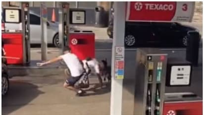 അമേരിക്കൻ ബുള്ളിയുടെ ആക്രമണത്തിൽ 11 വയസ്സുകാരിക്ക് ഗുരുതര പരിക്ക്; ഭയപ്പെടുത്തുന്ന ദൃശ്യങ്ങൾ പുറത്ത് !