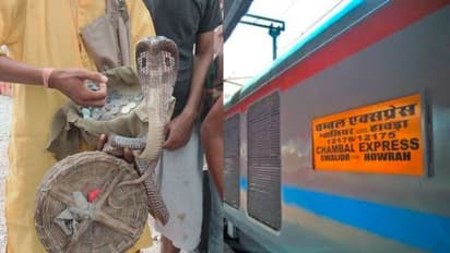 ಕಾಸು ಕೊಡಲಿಲ್ಲ ಅಂತ ಹಾವನ್ನೇ ಬೋಗಿಯೊಳಗೆ ಬಿಟ್ಟ: ಹಾವಾಡಿಗನ ಅವಾಂತರಕ್ಕೆ ರೈಲು ಪ್ರಯಾಣಿಕರು ಸುಸ್ತು