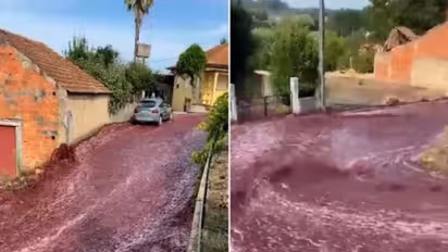 2.2 മില്ല്യണ്‍ ലിറ്റര്‍ വൈന്‍ റോഡില്‍, കുത്തിയൊലിച്ച് വരുന്ന വൈൻ കണ്ട് ഞെട്ടി നാട്ടുകാരും നെറ്റിസൺസും